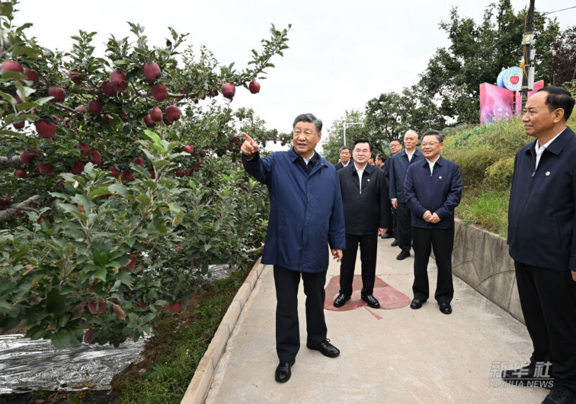 习近平在陕西宝鸡市和甘肃天水市考察调研插图6题字网